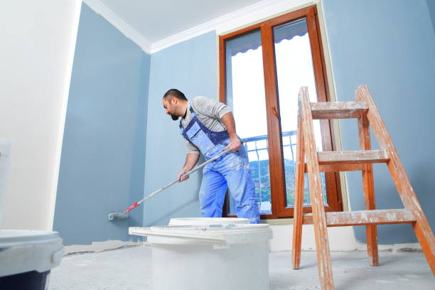 Best Mold Odor Removal Services  in Nneconne, WI