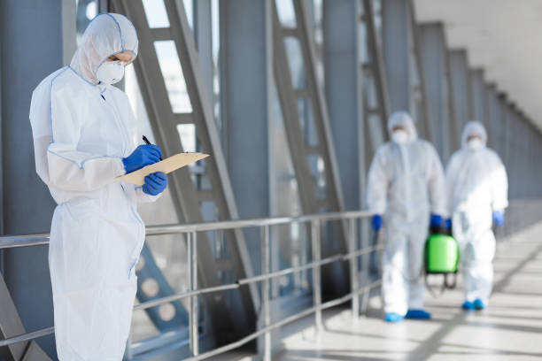 Best Mold Removal for HVAC Installations  in Nneconne, WI