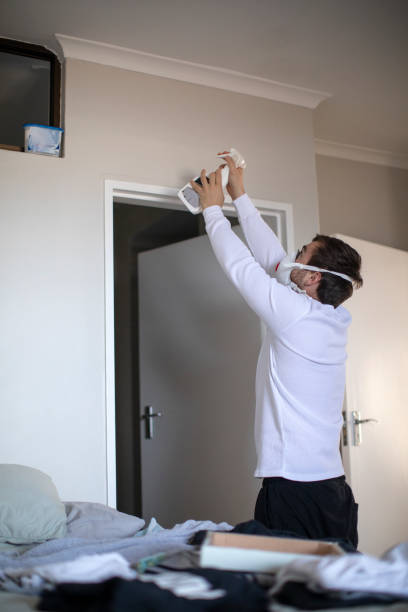 Best Commercial Mold Inspection  in Nneconne, WI