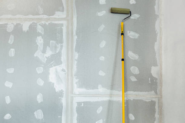 Best Crawl Space Mold Remediation  in Nneconne, WI