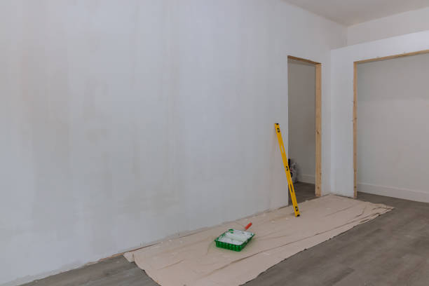 Best Dehumidification Services  in Nneconne, WI