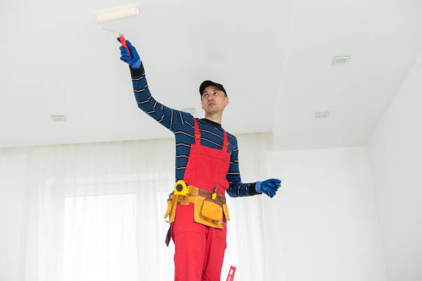 Trusted Winneconne, WI Mold Removal Experts