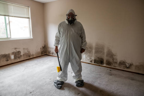 Best Air Quality Testing for Mold Spores  in Nneconne, WI
