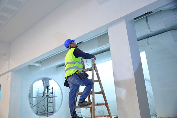 Best Water Damage & Mold Remediation  in Nneconne, WI