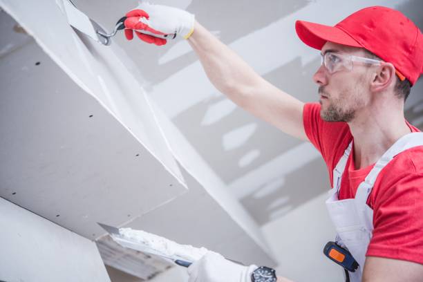 Mold Documentation for Insurance Claims in Winneconne, WI